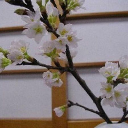 Wakaba Ryokan / Vacation Stay 29366 Sakata Ngoại thất bức ảnh